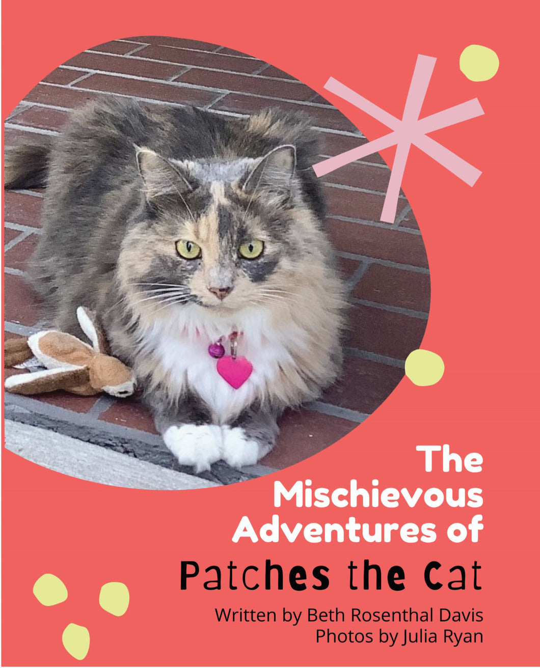 The Mischievous Adventures Of Patches The Cat
